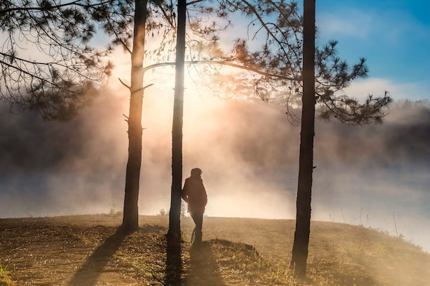 Schattenbild der Frau stehend im tiefen Wald mit einem nebeligen und Sonnenstrahl auf Morgenzeit