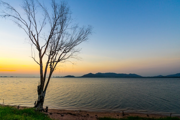 Schattenbild des Baums am Reservoir Bang Phra, Sriracha, Chonburi, Thailand, im Sonnenuntergang