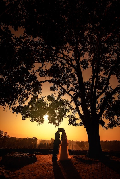 Schattenbild des Hochzeitspaares in der Liebe, die Hand während des Sonnenuntergangs mit Abendhimmel küsst und Hand zusammenhält