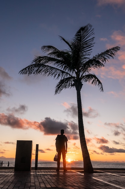 Schattenbild des Jungen und der Palme, die den Sonnenuntergang, Gran Canaria, Kanarische Inseln aufpassen.