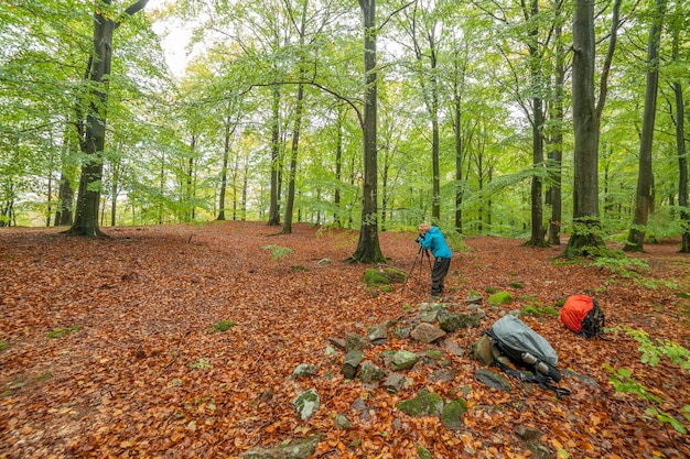 Schattenbild des professionellen Fotografen, der Foto des Waldes macht