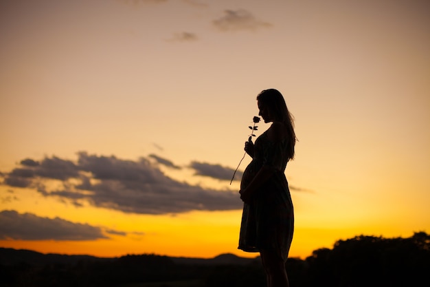 Foto schattenbild einer schwangeren frau, die eine rose auf sonnenuntergang riecht