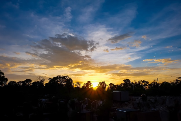 Schattenbild von Bäumen und von Himmel mit Wolken im Sonnenuntergang.