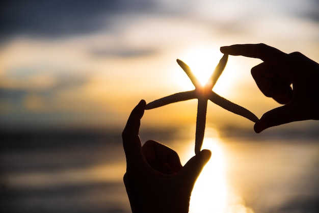 Schattenbildfrauenhand, die Starfish über Meer während des Sonnenuntergangs hält