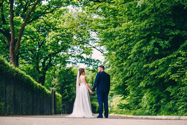 Schauen Sie von hinten auf sinnliche Hochzeitspaare, die im europäischen Park spazieren gehen