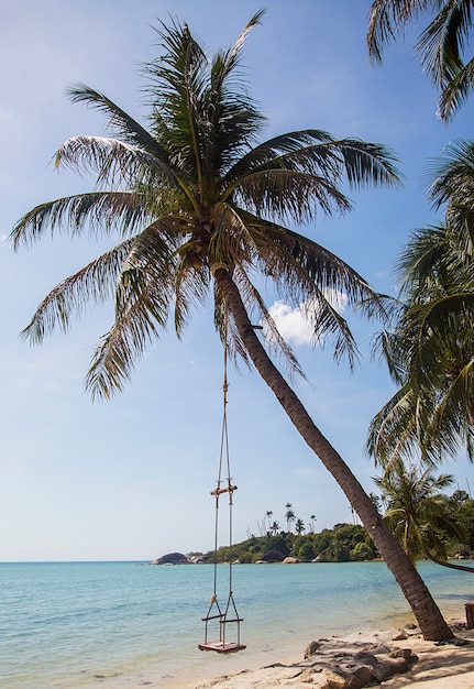 Schaukel in Ko Pha Ngan in Thailand