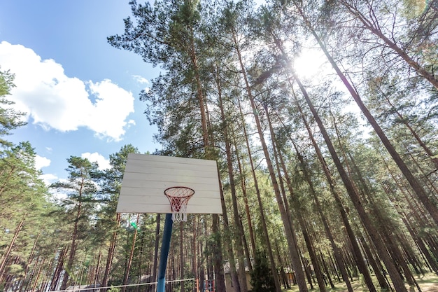 Schaukel und Reckstangen auf Spielplatz und Basketballplatz im Pinienwald