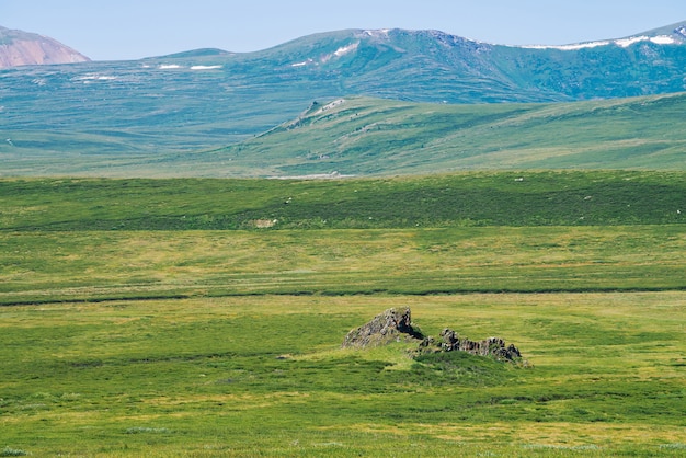 Schaukeln Sie in grünes Tal gegen riesige Berge mit Schnee unter klarem blauem Himmel. Wiese mit reicher Vegetation des Hochlands im Sonnenlicht. Erstaunliche sonnige Berglandschaft der majestätischen Natur.