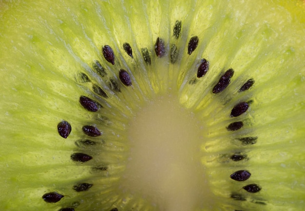 Scheibe frische reife Kiwi. Grüne Frucht, Draufsicht. Die Hälfte der Kiwi. Veganes oder vegetarisches gesundes Essen, Diätkonzept. Vitamin C.