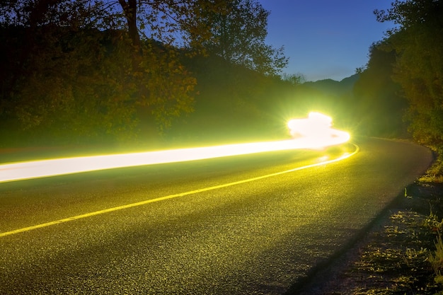 Scheinwerfer beleuchten eine leere Straße in einem Sommernachtswald. Lange kurvenreiche Trails