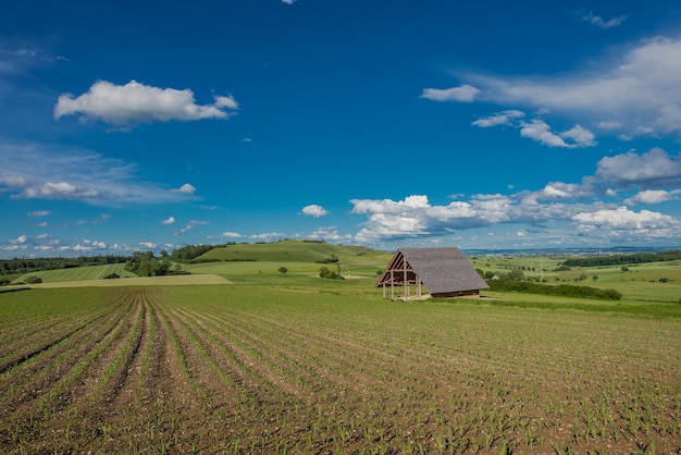 Scheune auf dem Feld gegen den Himmel
