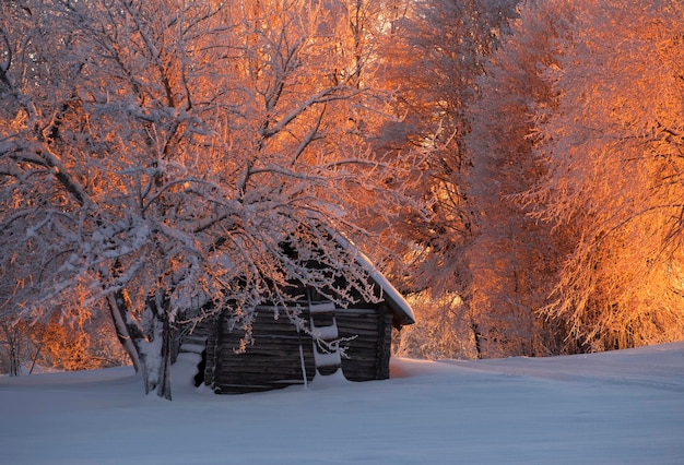 Scheune in der Winterlandschaft mit Schneefeldbäumen in der Sonnenuntergangsdorflandschaft