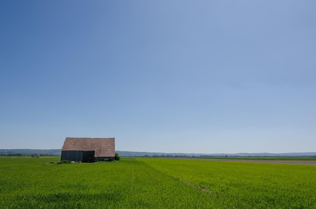 Scheune und grünes Feld