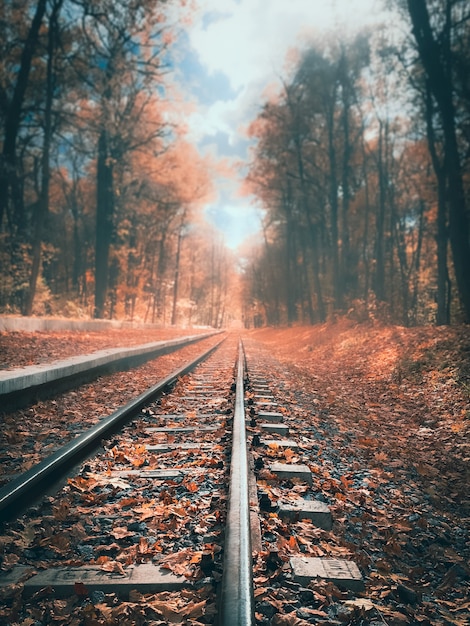 Schienen auf Schwellen beim Bahnsteig im Herbstwald