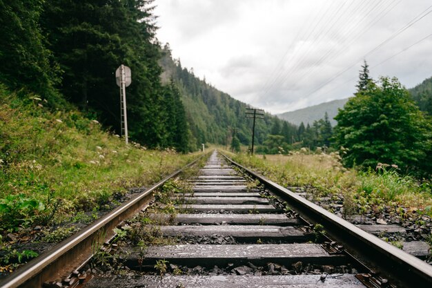 Schienen in den Bergen. Eisenbahn inmitten wunderschöner Landschaft.