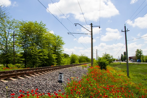 Schienenansicht in Georgia, Zugstraße und Bahnhof, Linien und Horizont mit Mohn und gelbem Blumenfeld