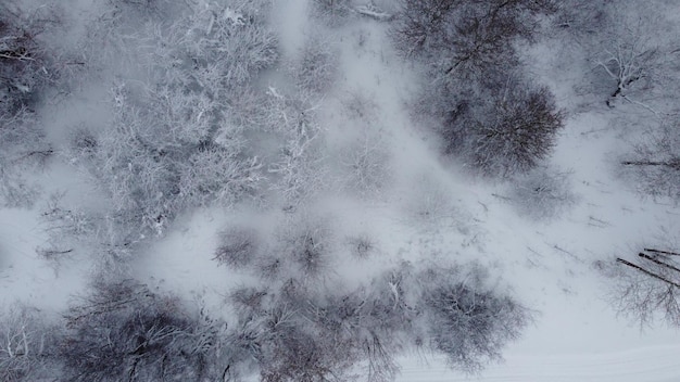 Schießen von einer Drohne in Winterwäldern und -feldern