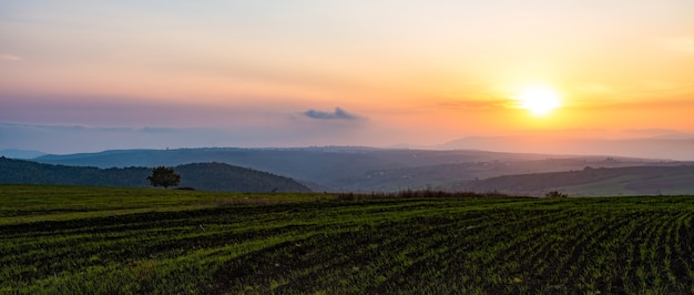 Schießt auf Farmfeldern