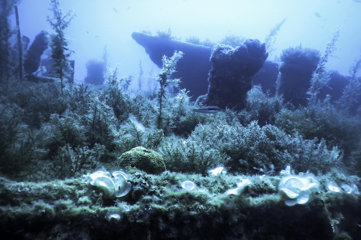 Foto schiffbruch im blauen wasser rostige schiffbruch mit wachsenden korallen unter wasser