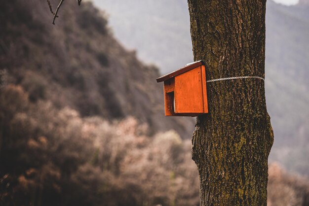 Schild am Baum, Vogelhaus