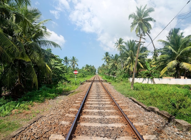 Schild in der Nähe von Eisenbahn im Dschungel von Sri Lanka