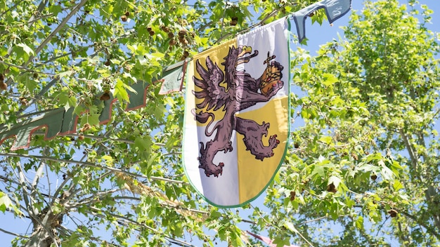 Schild, mittelalterliche Wappen in einer traditionellen antiken Kunstmesse in Madrid, Spanien