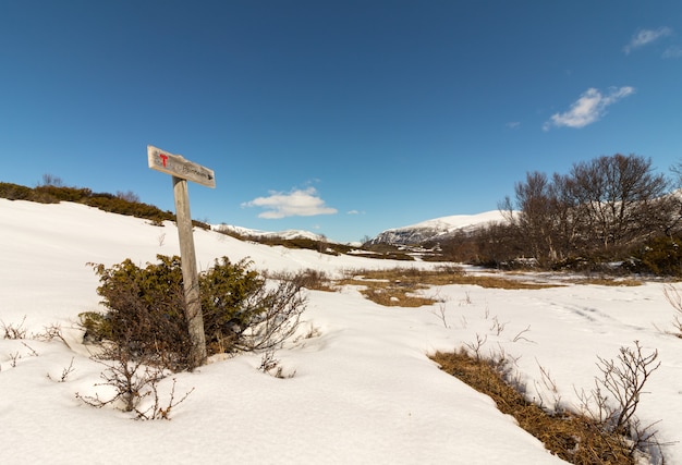 Schild zeigt den Weg nach Reinheim in den Dovre-Bergen in Norwegen