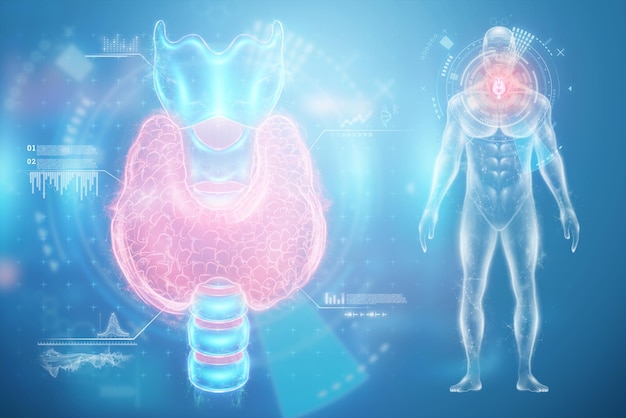 Schilddrüsenhologramm auf blauem Hintergrund mit medizinischen Indikatoren Ultraschalldiagnostik Schilddrüsenerkrankungen 3D-Rendering 3D-Darstellung
