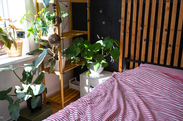 Schlafzimmer im Loft-Stil, Innenraum, schwarze Wand mit Holzplatten, Metallbett, Retro-Glühbirnen, Girlande, Topfpflanzen auf einem trapezförmigen Fenster auf dem Dachboden, modernes Grünhaus