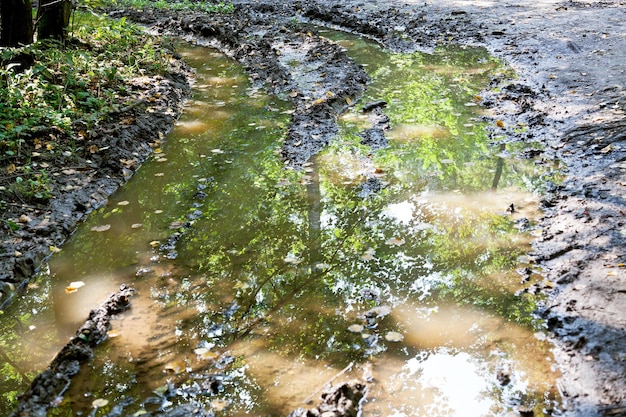 Foto schlammige regenpfütze in tiefer autofurche