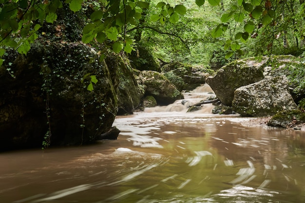 Schlammiger Bach nach Regen in einem subtropischen Wald, das Wasser ist in Bewegung verwischt