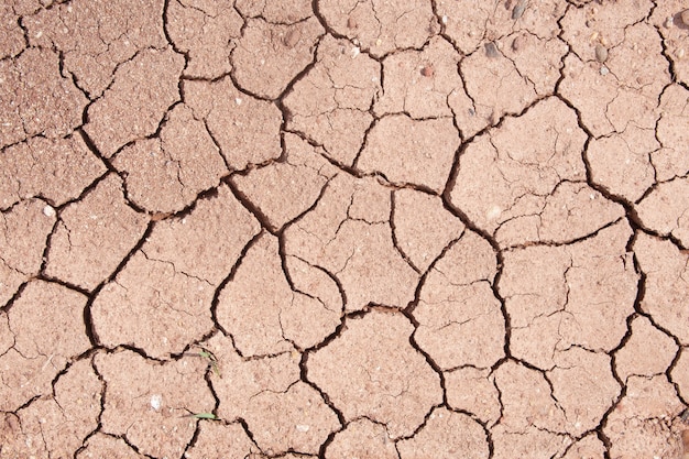 Schlammsprung, Brown knackte Grundbeschaffenheit oder Hintergrund