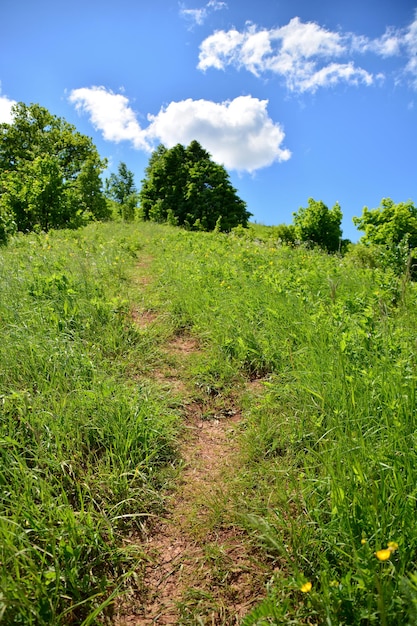 Schlammweg im Berg bis zum Horizont mit Bäumen und blauem Himmel und Wolken