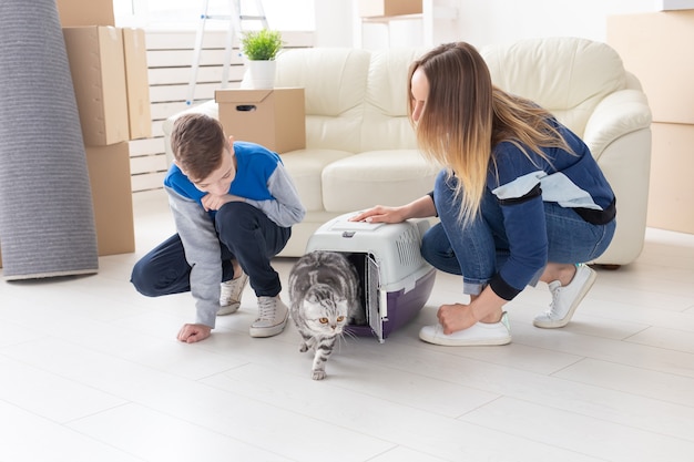 Schlanke junge Mutter und kleiner Sohn bringen ihre schöne graue Scottish Fold-Katze in ihre neue