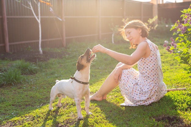 Schlanke süße junge Frau spielt mit ihrem geliebten lustigen Hund im Hof an einem sonnigen Tag.