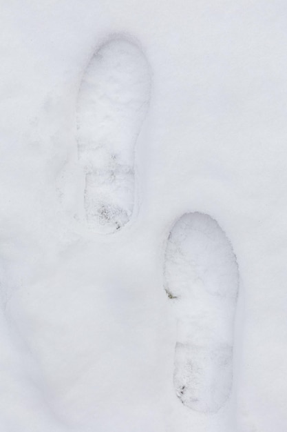 Schlechtwetterspuren im Schnee