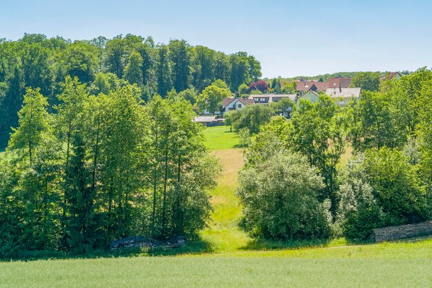 Foto schleierhof in hohenlohe