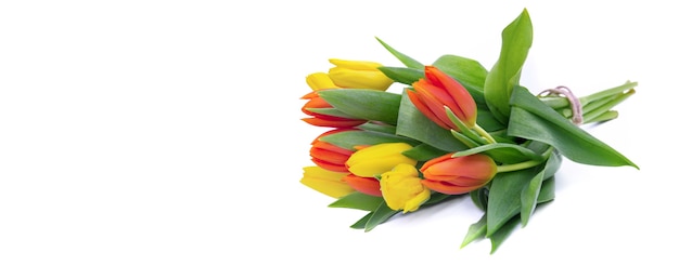 Schließen Sie auf Bouquet von gelben und orange Tulpen lokalisiert auf Weiß im Panoramablick