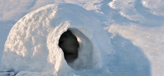 Schließen Sie auf Iglu im Schnee