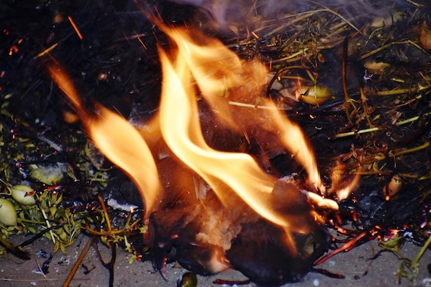 Foto schließen sie das lagerfeuer an.