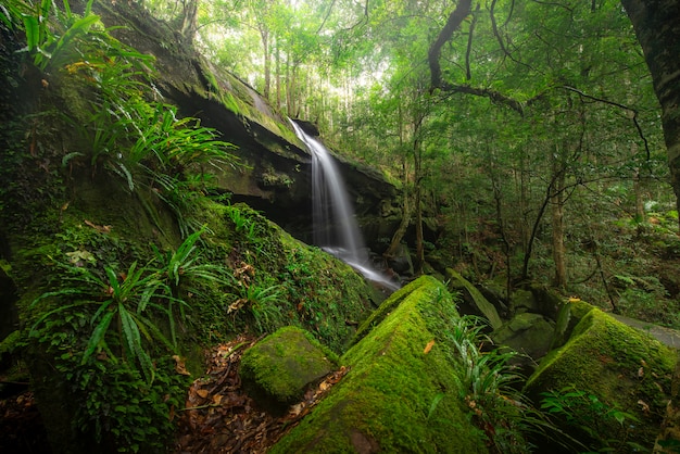 Schließen Sie herauf Ansichtwasserfall im tiefen Wald am Nationalpark, Wasserfallflussszene.