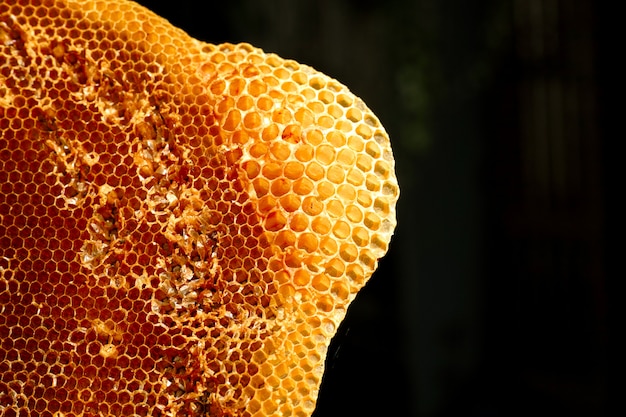 Schließen Sie herauf gelbe schöne Bienenwabe mit Honig