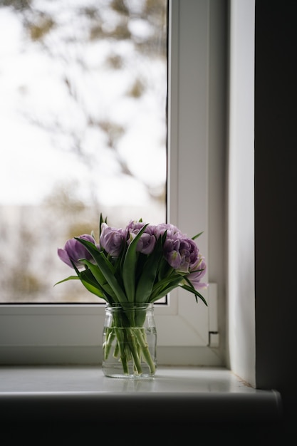 Schließen Sie herauf lila Tulpenfoto. Frühlingskonzept.