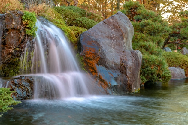 Schließen Sie herauf schönes Wasserfall- und Waldänderungsfarbblatt im Herbst bei Japan.