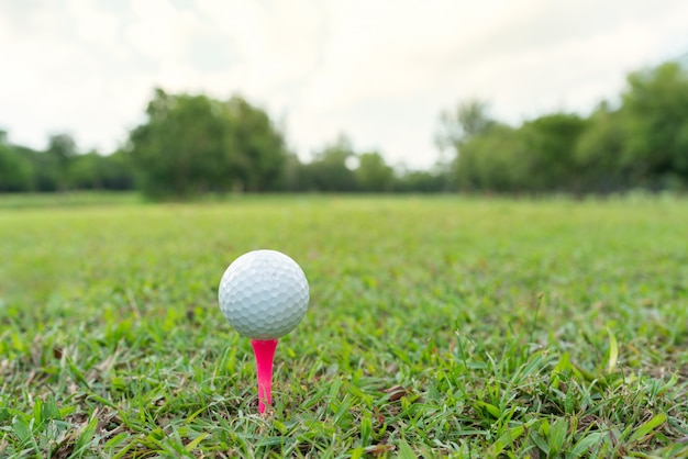 Schließen Sie herauf Schuss des Golfballs auf rosa T-Stück im Golfplatz.