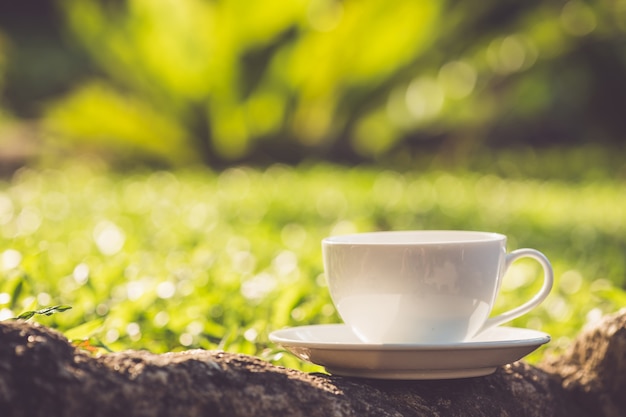 Schließen Sie herauf weiße Kaffeetasse im Garten zur Morgenzeit