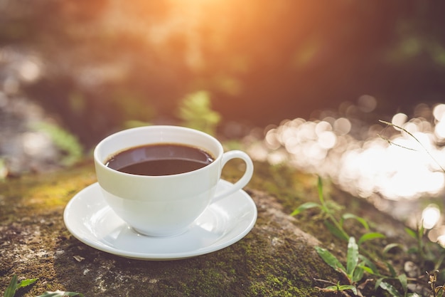 Schließen Sie herauf weiße Kaffeetasse im Garten zur Morgenzeit