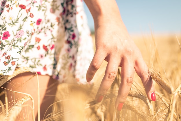 Schließen Sie oben auf einer Frauenhand, die Weizen in einem Feld berührt