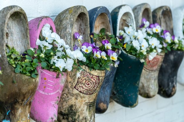 Schließen Sie oben von den alten hölzernen Klötzen mit blühenden Blumen