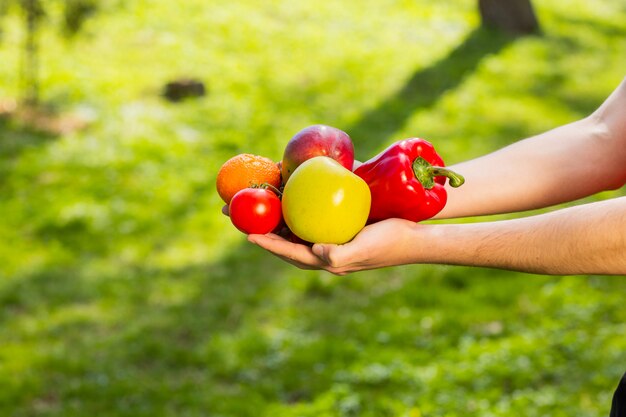 Schließen Sie oben von den Händen eines Bauern, die Obst und Gemüse auf dem Hintergrund des verschwommenen Grüns halten